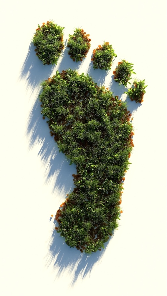 FETA finalises response to draft CBAM regulations